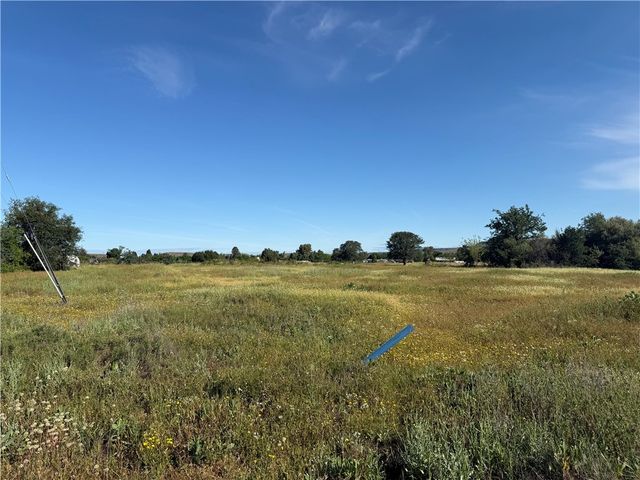 Feather, Oroville