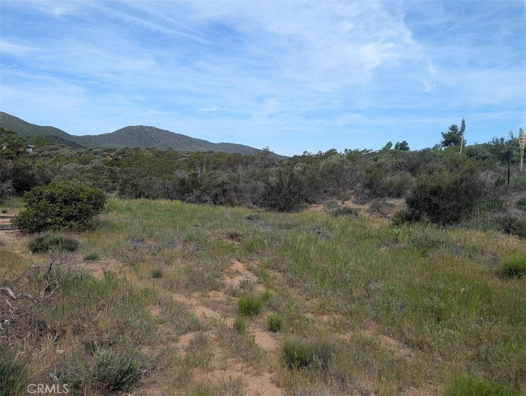 Photo of Listing #SW26081311