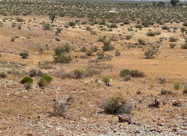 34529318 Mojave, Mojave