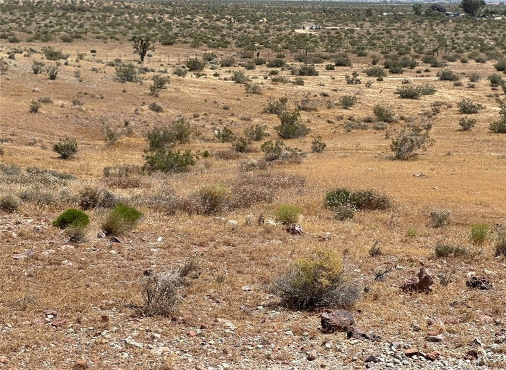 Photo of Listing #RS26081511