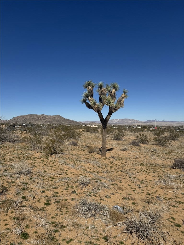 Photo of Listing #TR26080912