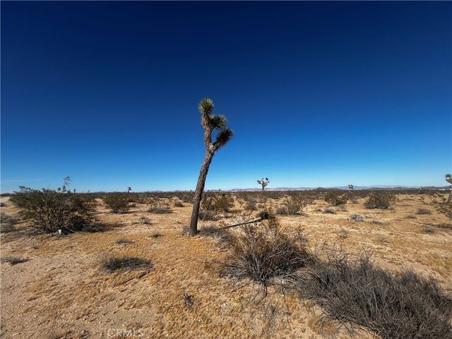 Celesta, Joshua Tree