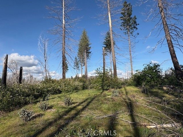 4277 Bald Rock Road, Brush Creek