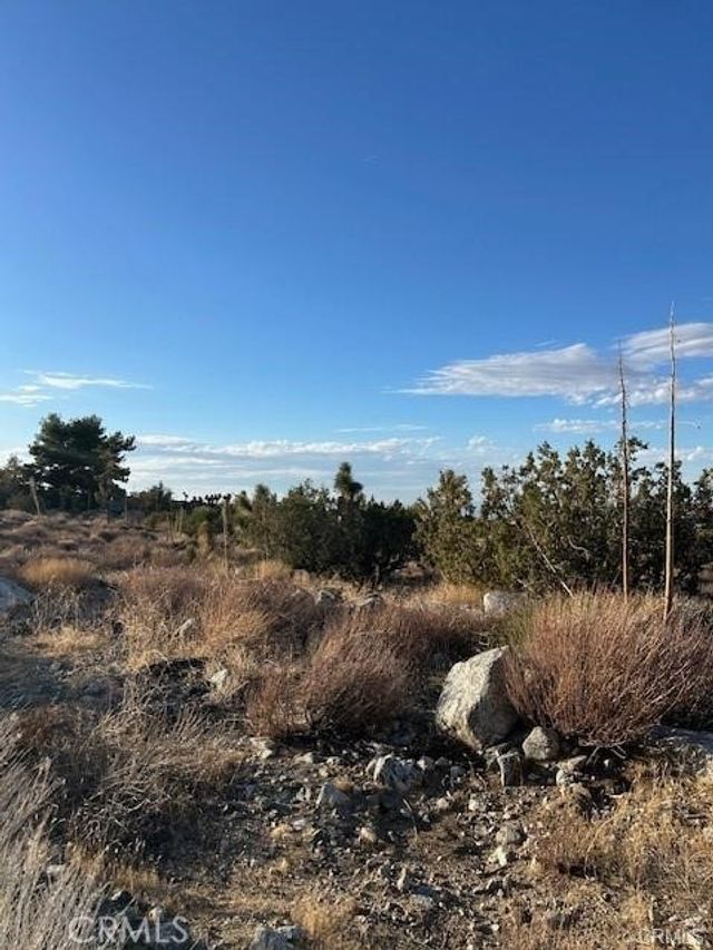 Yucca, Pinon Hills