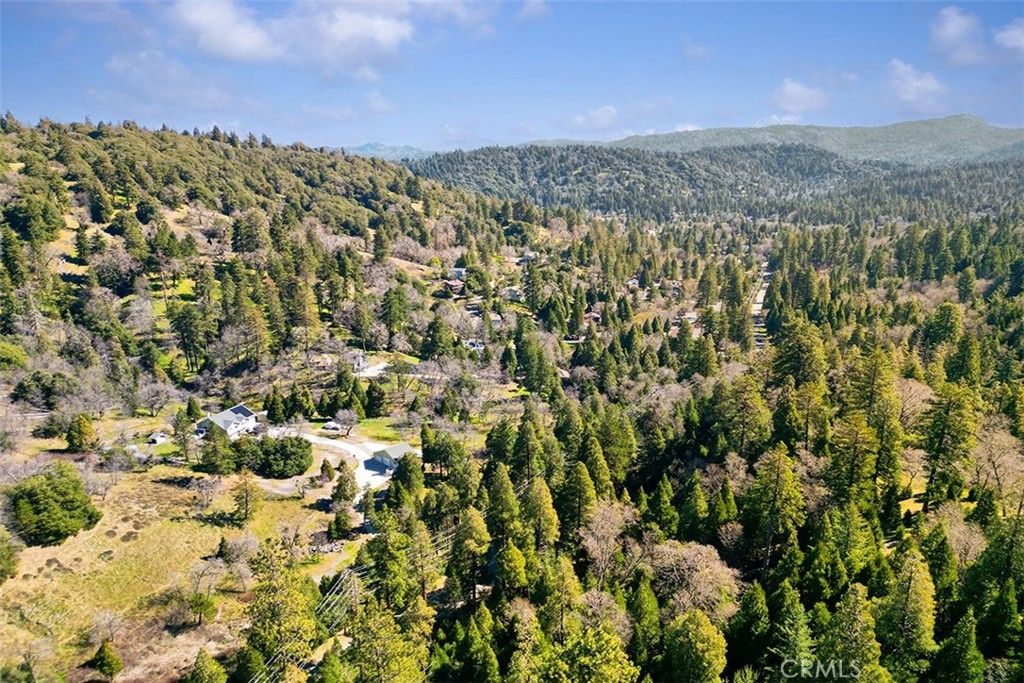 Alder Creek, Cedarpines Park