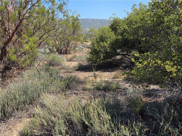 56941 Cain, Anza