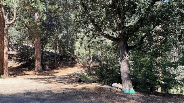 25235 Nestwa Trail, Idyllwild