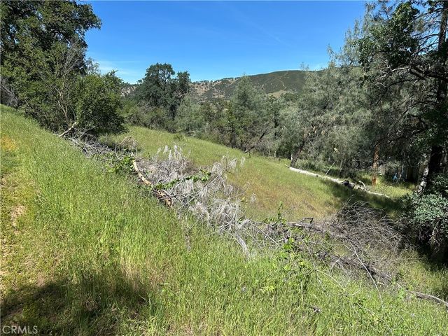 12939 Hill, Clearlake