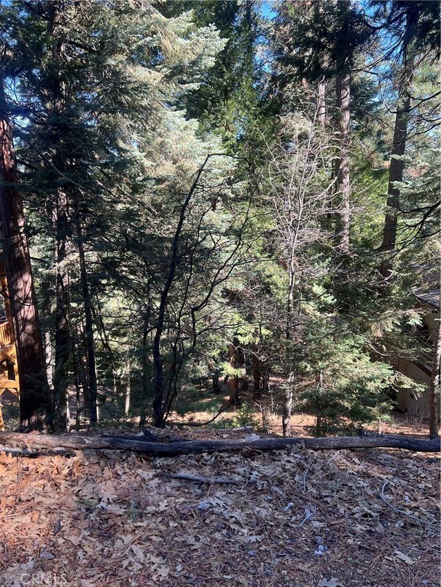 Forest, Twin Peaks