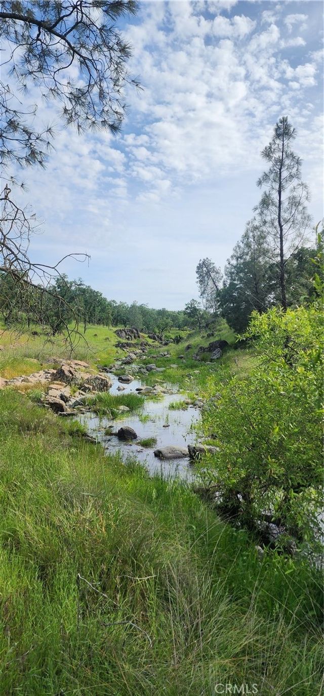 Daly, Palermo