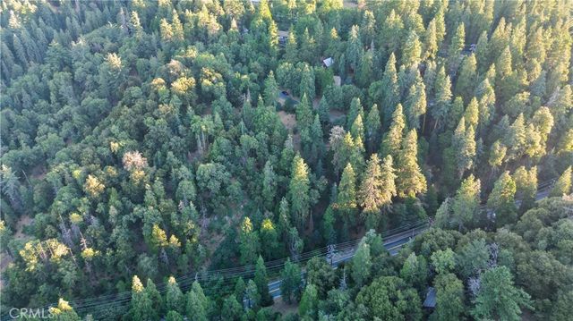 Fir, Cedarpines Park
