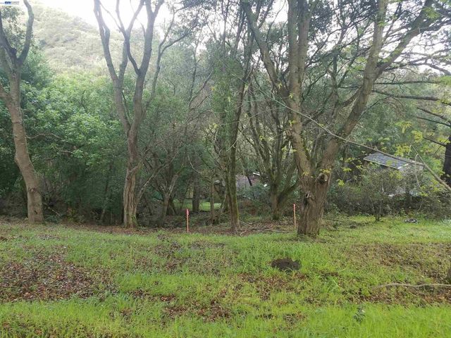 12 Vista Del Orinda, Orinda