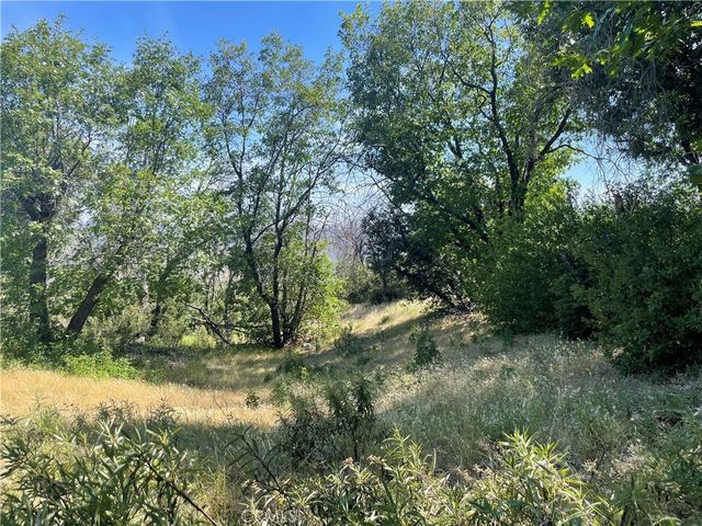 363 Raccoon Road, Berry Creek