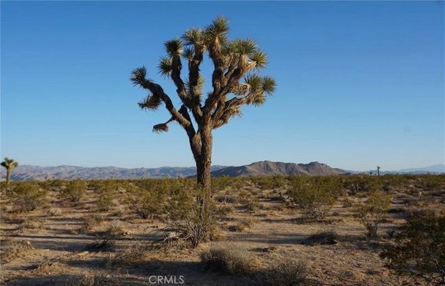 2172 Conejo Avenue, Joshua Tree
