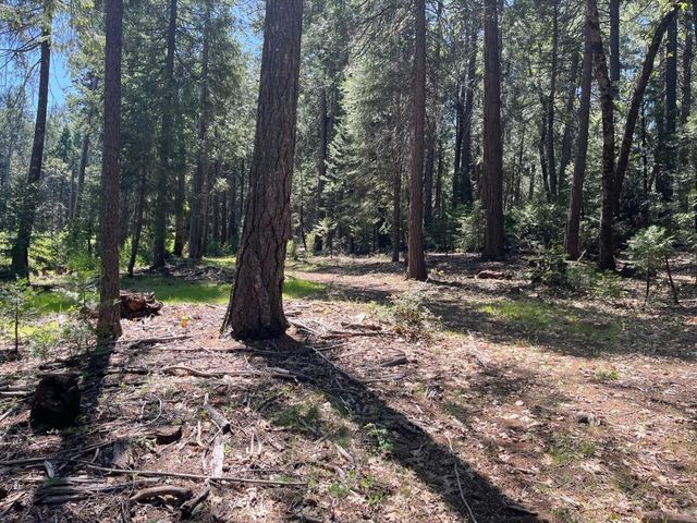 N/A, Nevada City