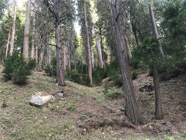 Mojave River, Cedarpines Park