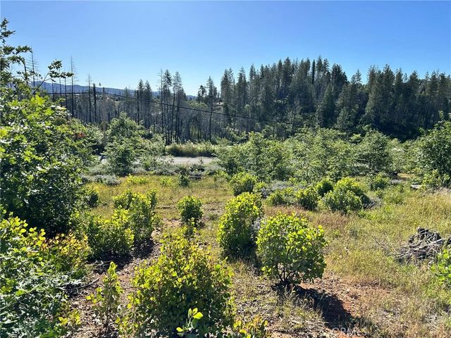 Katella, Berry Creek