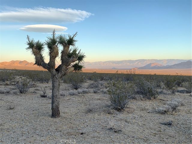 Vl Near Lucerne Valley Cutoff, Barstow