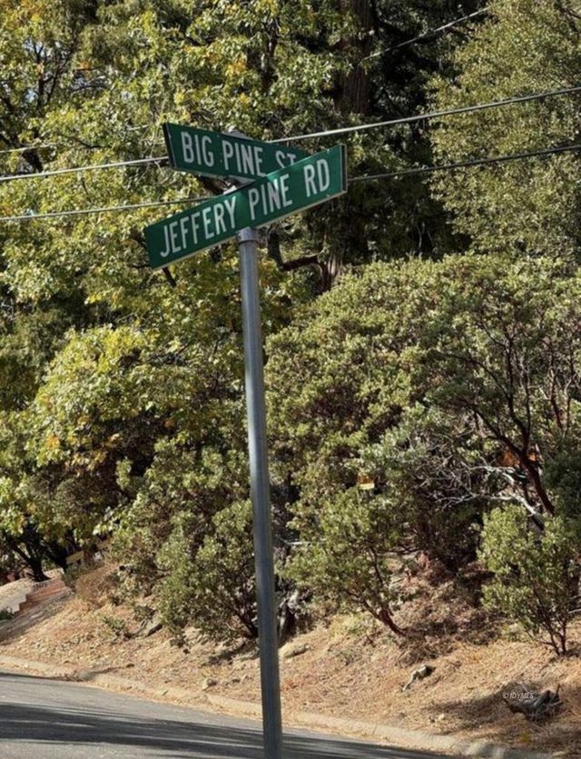 53642 Jeffrey Pine Court, Idyllwild