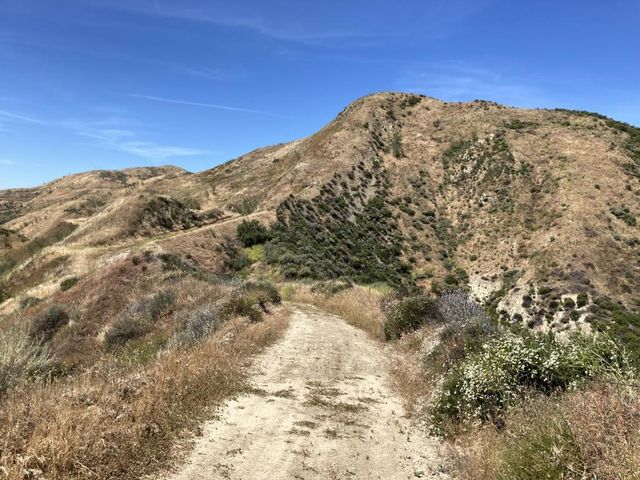 7003 Loma Verde Mountainway, Castaic