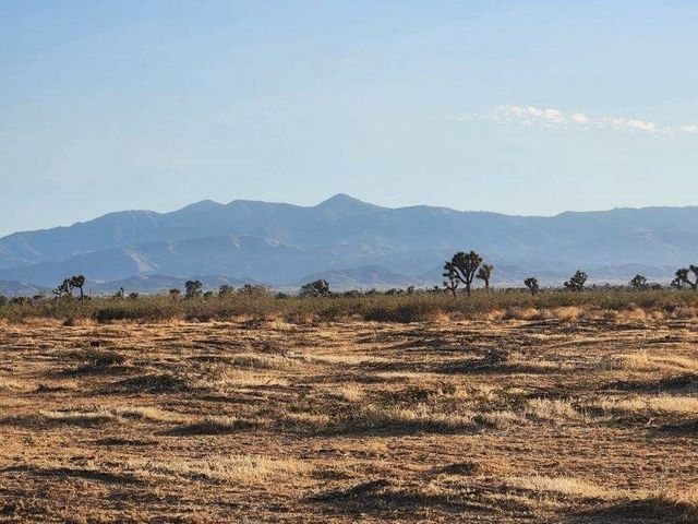 Bear Valley Road, Victorville