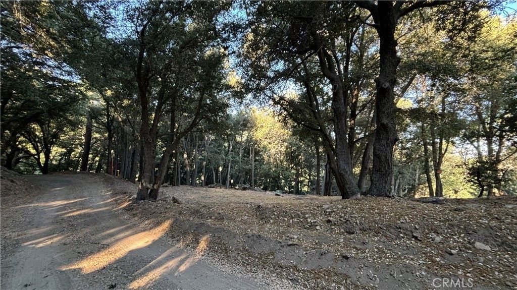 722 Mojave River Road, Cedarpines Park
