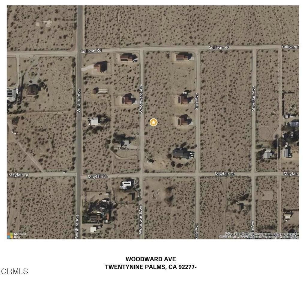 Woodward Avenue, 29 Palms