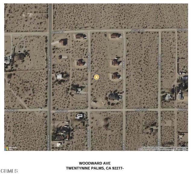 Woodward Avenue, 29 Palms