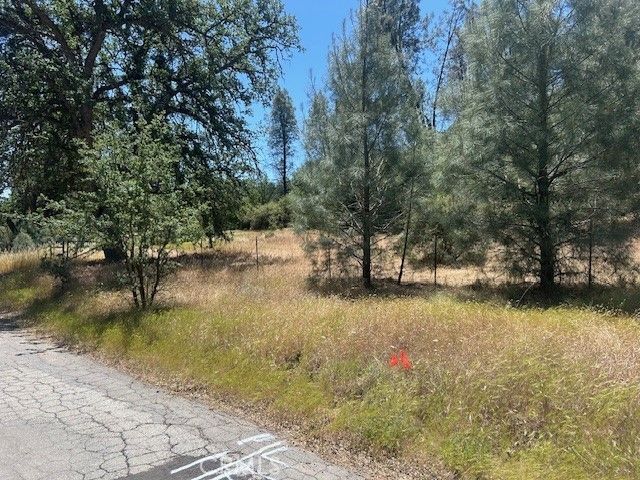 Coalinga, Other