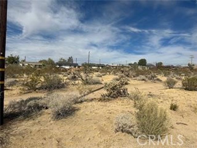 E Parkway, Joshua Tree