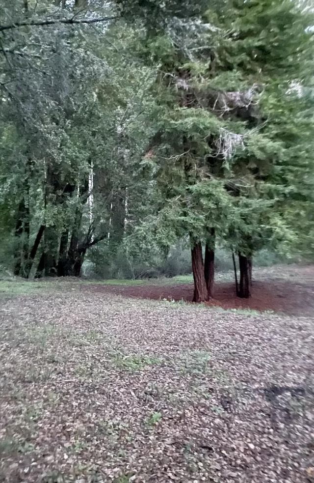 Long Branch Road, Los Gatos