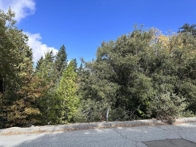 N/A, Idyllwild