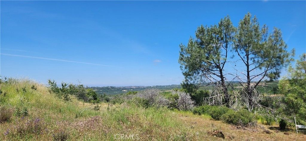 Hummer Road, Forest Ranch