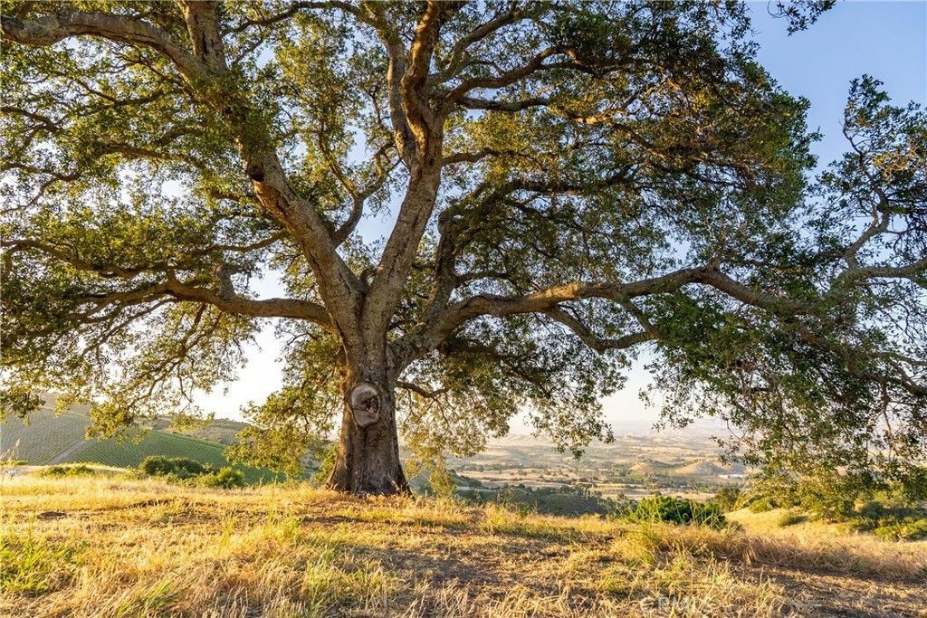 2762 Adelaida Road, Paso Robles
