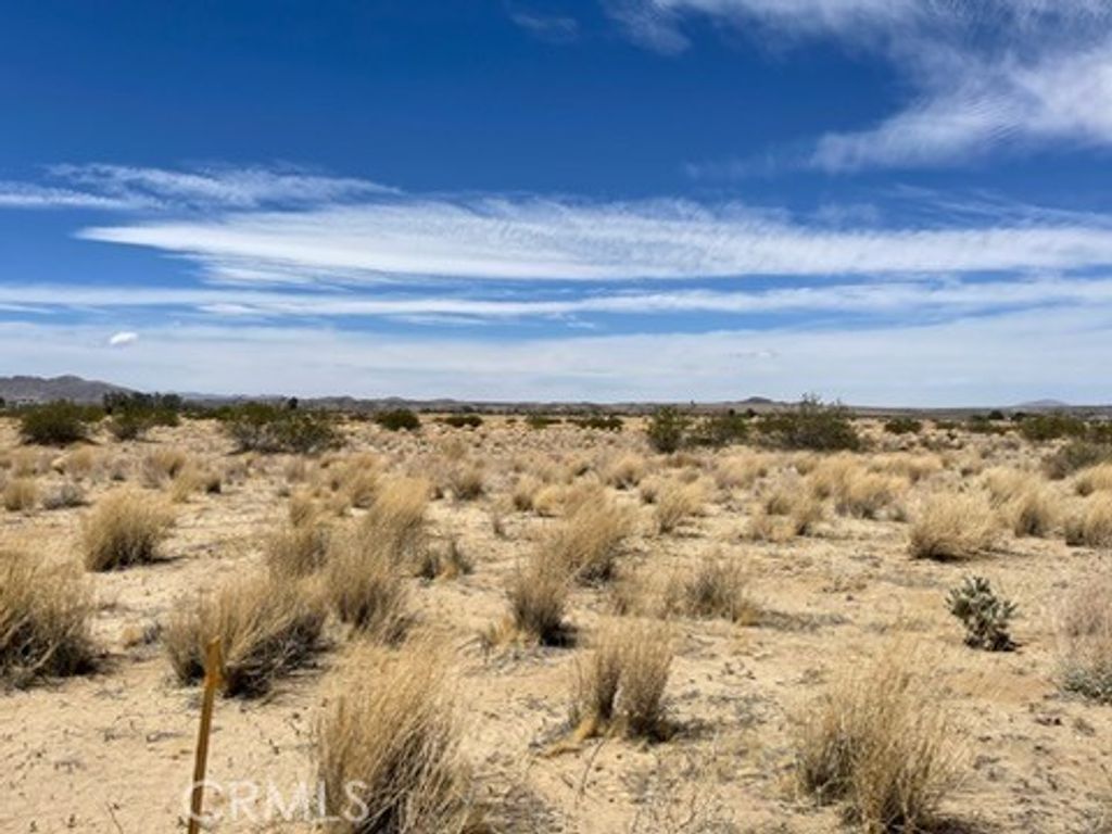Cascade Road, Joshua Tree