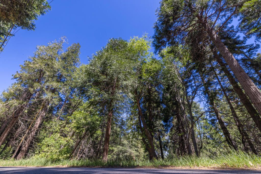 Lot 78 Cedar Pines Drive, Crestline
