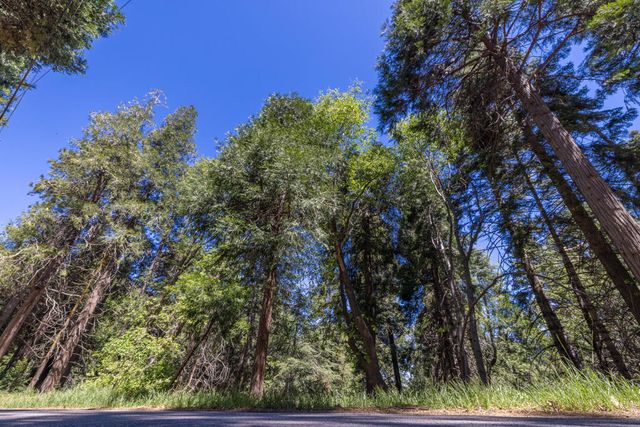 Lot 78 Cedar Pines Drive, Crestline