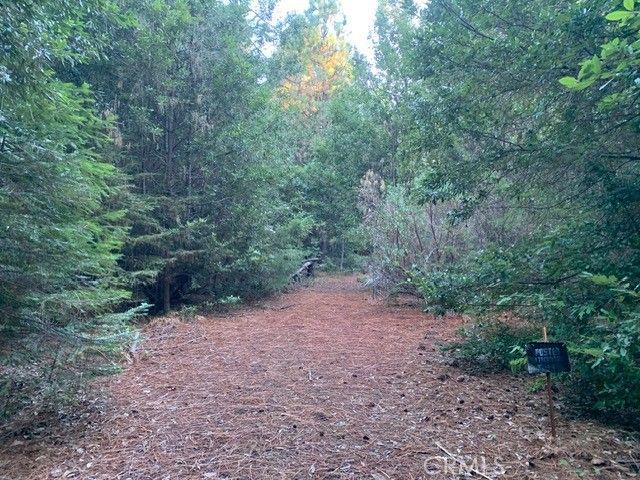 Off Skyway, 