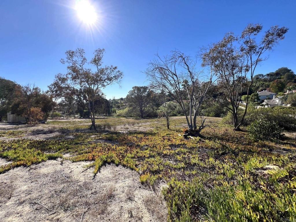 Mays Hollow Lane, Encinitas