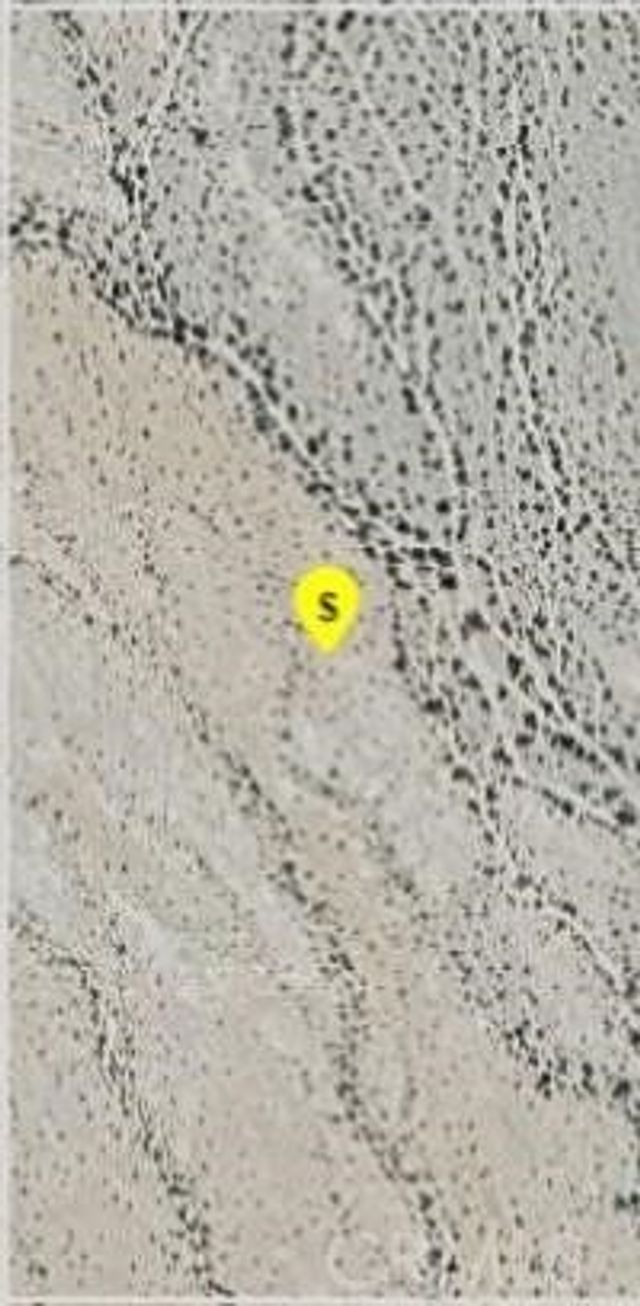 Vacant Land, Desert Center