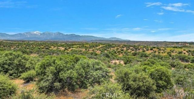 Cactus, Oak Hills