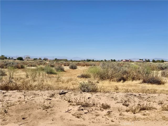 Nipa Avenue, California City