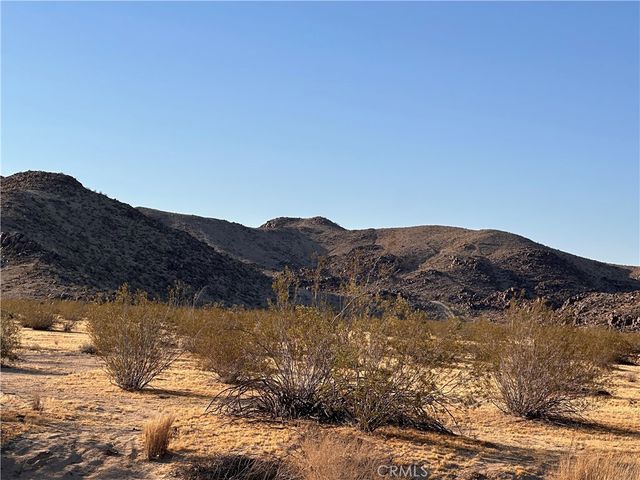La Ferney, Joshua Tree