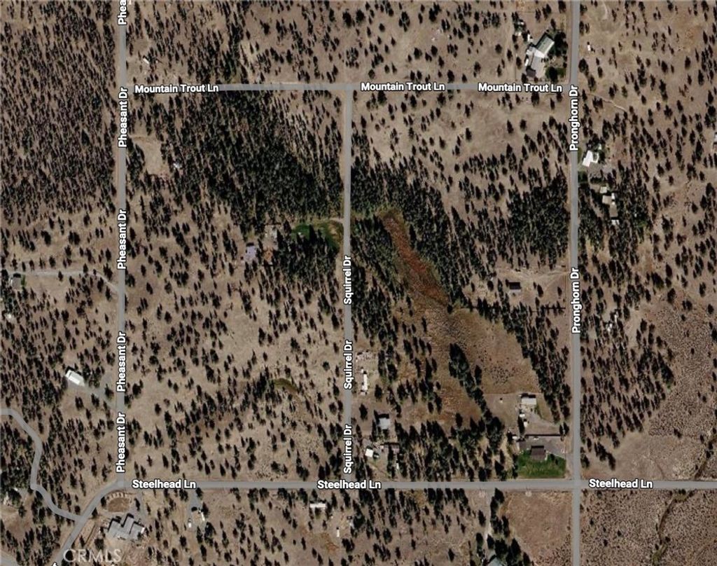 Pheasant Drive, Alturas