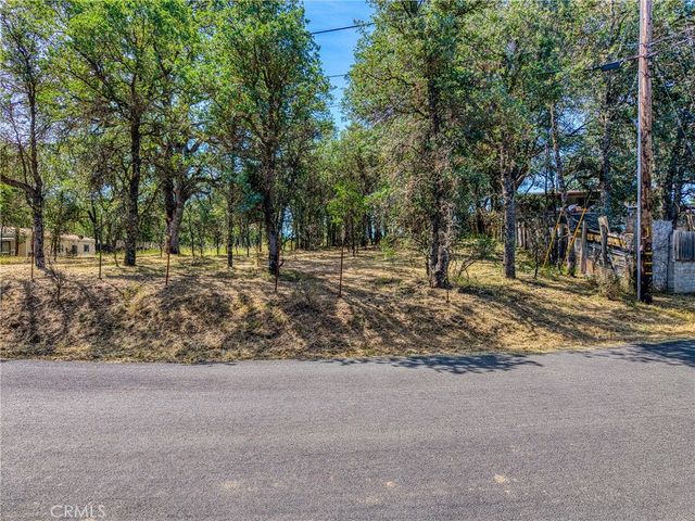 16793 Big Bear, Lower Lake