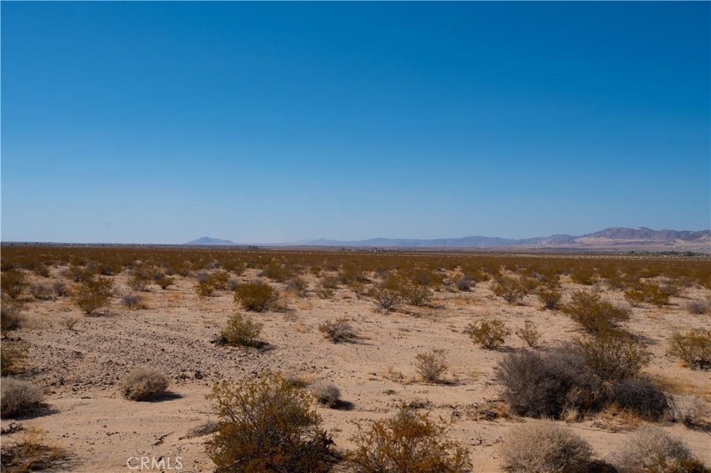 Barnes, 29 Palms