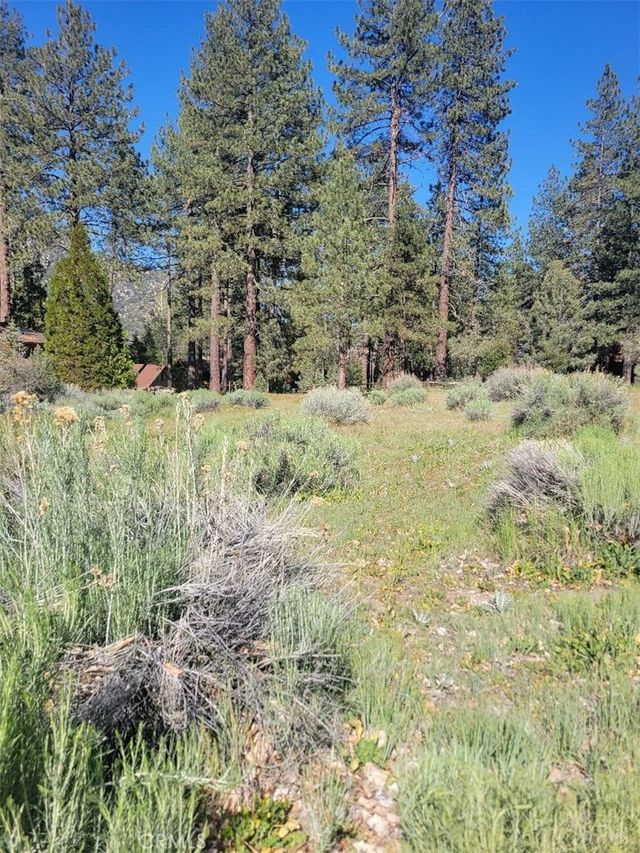 2612 Brentwood, Pine Mountain Club