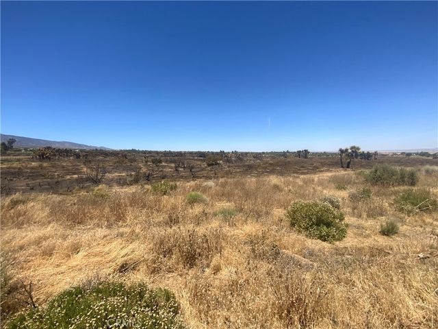 Joshua Tree, Lucerne Valley