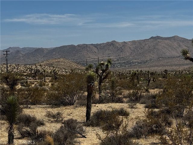 Anita Avenue, Yucca Valley