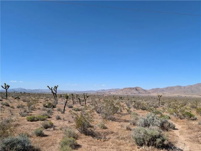 Apple, Apple Valley